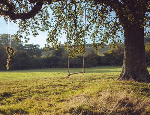 Bespoke Wedding Venue Near Me